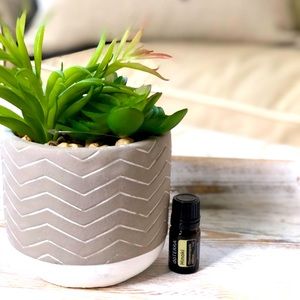 Doterra Hinoki Essential oil